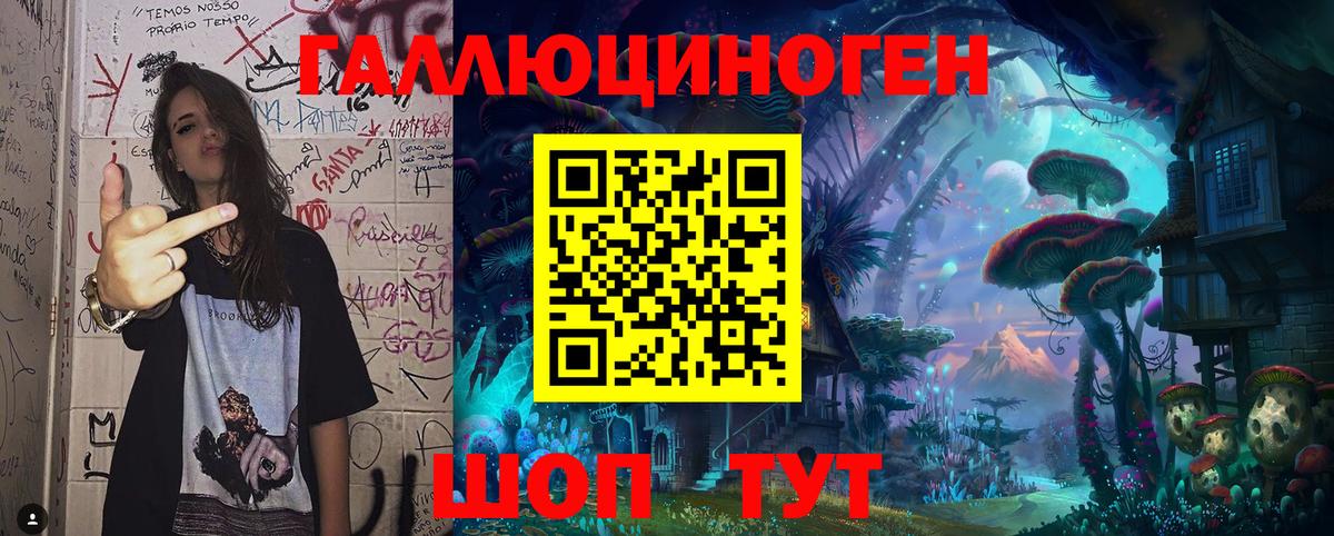 Кириши  Псилоцибиновые грибы прущие грибы  Вход с VPN 